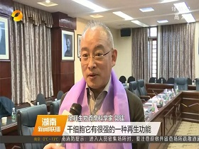 Hunan Satellite TV News Network: iSCL stem cell<sup>®</sup> iSCLife<sup>®</sup> for the treatment of osteoarthritis, poor uterine wound healing and decompensated hepatitis B cirrhosis